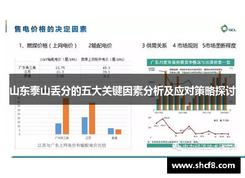 山东泰山丢分的五大关键因素分析及应对策略探讨