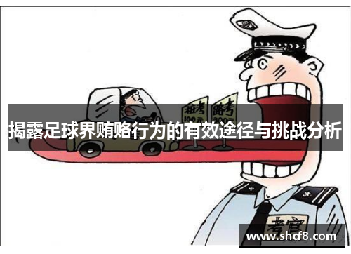 揭露足球界贿赂行为的有效途径与挑战分析