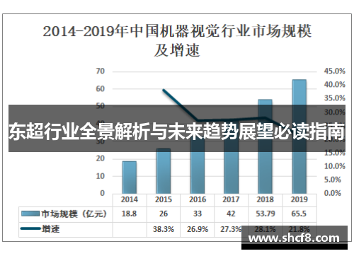 东超行业全景解析与未来趋势展望必读指南