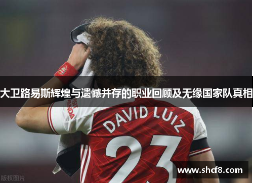 大卫路易斯辉煌与遗憾并存的职业回顾及无缘国家队真相 大卫路易斯辉煌与遗憾并存的职业回顾及无缘国家队真相